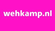 ‘Ahold meldt zich voor Wehkamp.nl’