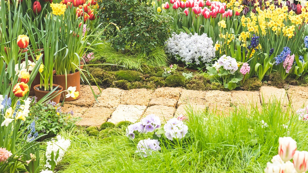 Yarinde neemt Buitenplanten.nl over