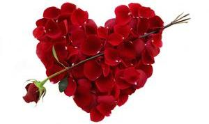 ‘Animo Valentijnsdag vrijwel onveranderd’