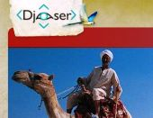 Djoser.nl uitgeroepen tot beste direct seller