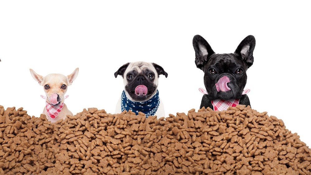 Nestle neemt Britse hondenvoershop Tails.com over