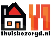 Negen minuten gratis bestellen bij Thuisbezorgd.nl