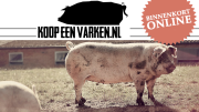 Na Koopeenkoe.nl volgt Koopeenvarken.nl