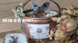 Nieuw in de Markt: The Green Dream Shop
