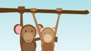 Het auteursrecht van een aap