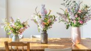 Bloomon biedt abonnement voor bloemetje in huis