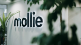 Mollie versnelt omzetgroei met 29 procent door internationale uitbreiding
