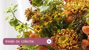 Deelname bloemenveiling in webwinkel 'eenmalige proef'